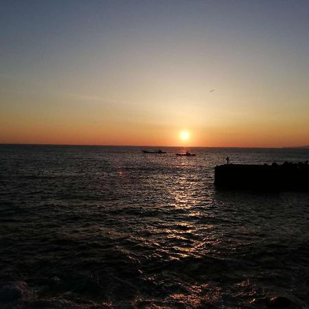 Izu Shirada Villa 伊豆白田家 Higashiizu Dış mekan fotoğraf