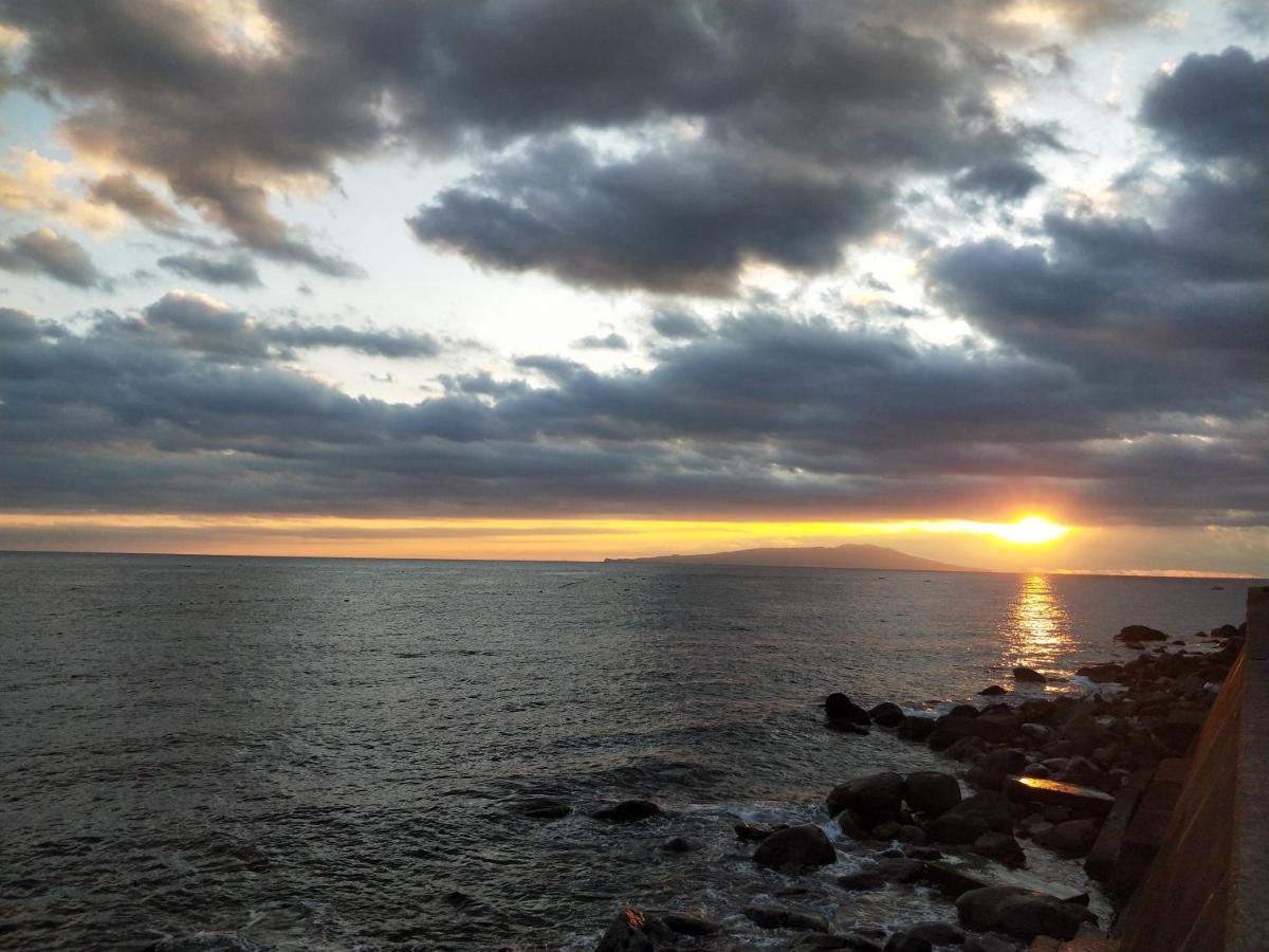 Izu Shirada Villa 伊豆白田家 Higashiizu Dış mekan fotoğraf