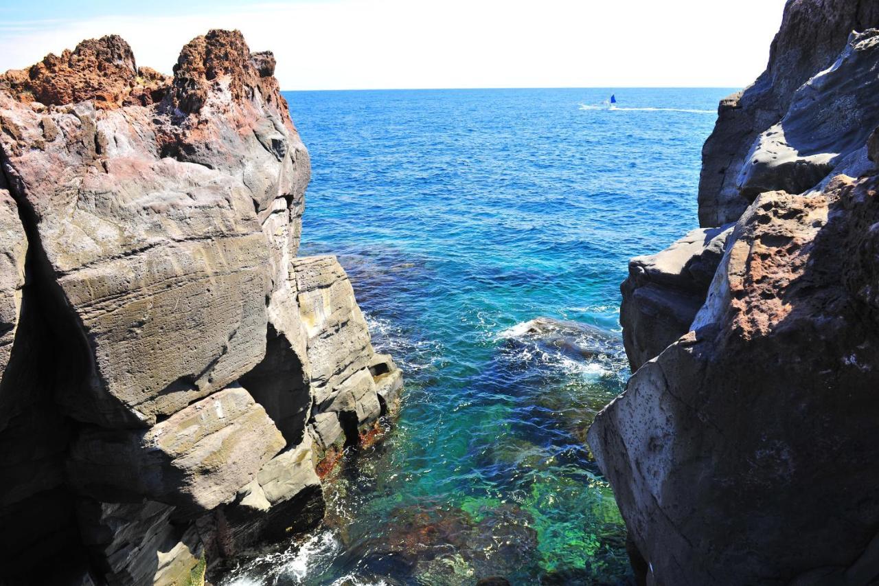 Izu Shirada Villa 伊豆白田家 Higashiizu Dış mekan fotoğraf